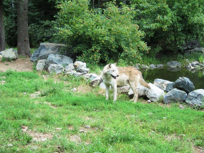 ???????????????????????????????