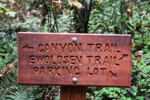 Trail Sign
